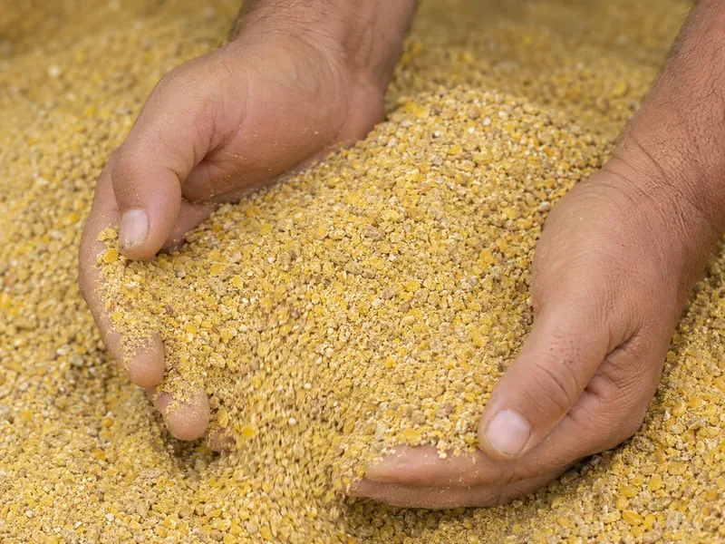 Mistura da ração