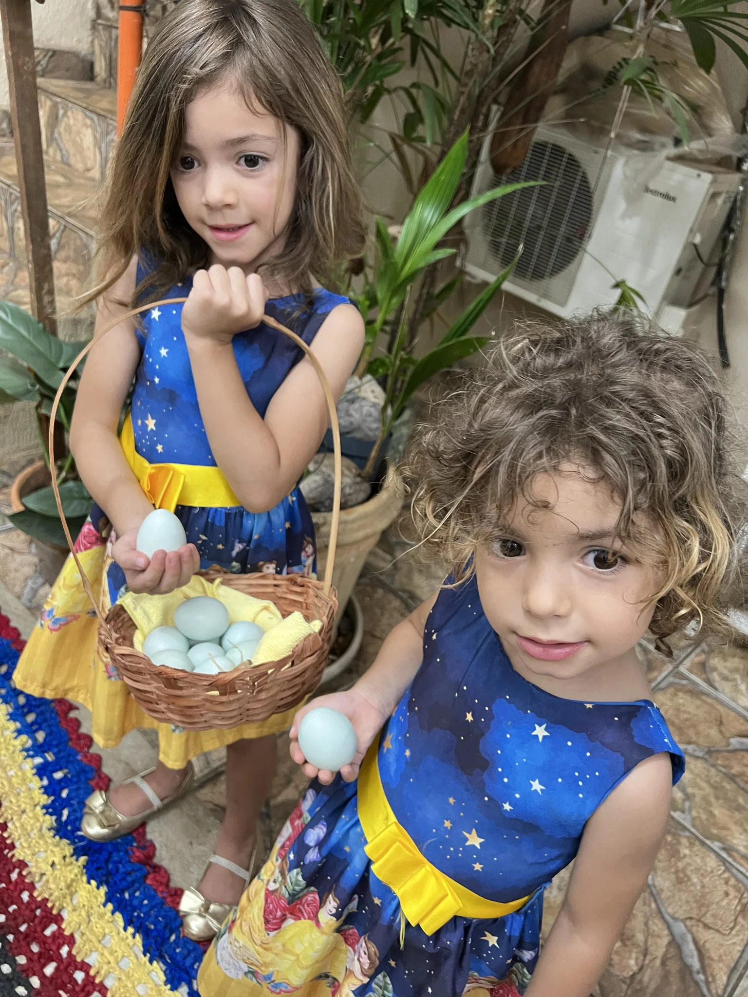 O Criatório — Ameraucana Brasil Poultry